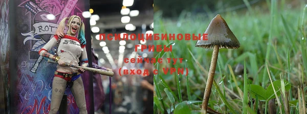 молекула духа Абинск