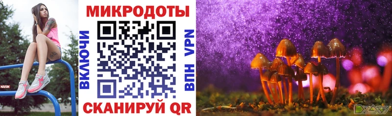 Псилоцибиновые грибы MAGIC MUSHROOMS  где можно купить наркотик  Кингисепп 