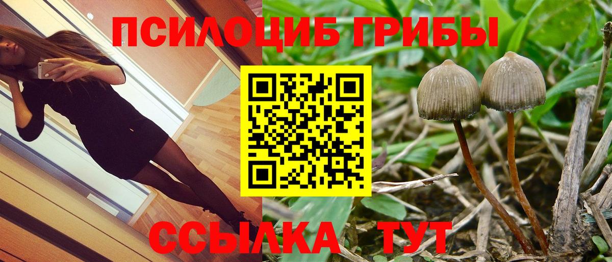 Псилоцибиновые грибы GOLDEN TEACHER Кингисепп