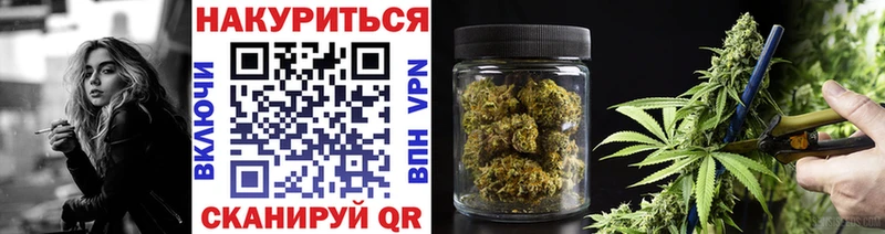 ссылка на мегу tor  Кингисепп  Бошки марихуана MAZAR  закладки 